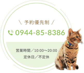 予約優先制 0944-85-8386 営業時間／10:00～20:00 定休日／不定休