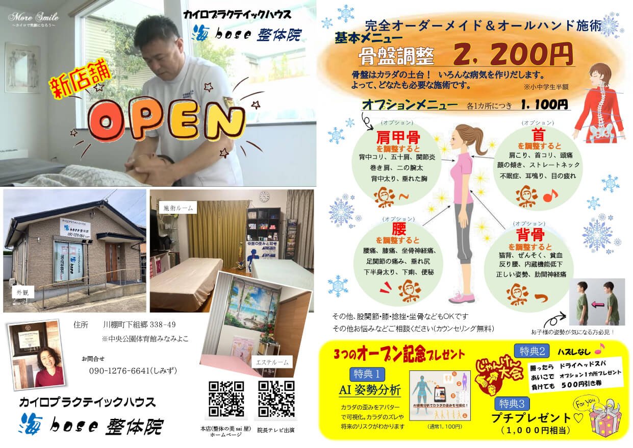 カイロプラクティックハウス海bose整体院
